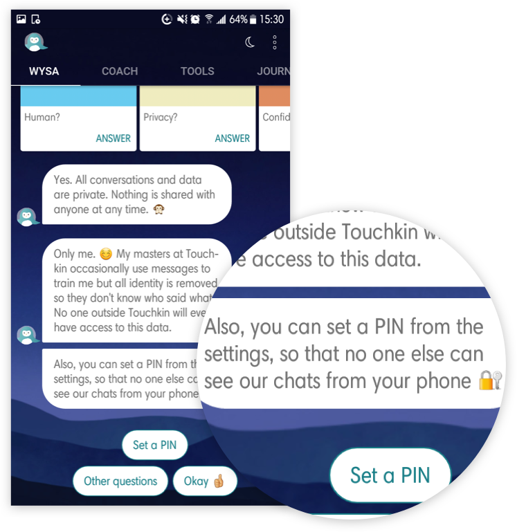 Example of a privacy pin option notification in a chatbot application